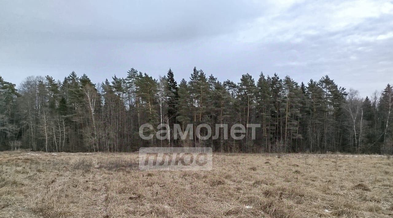 земля городской округ Серпухов д Райсеменовское фото 4