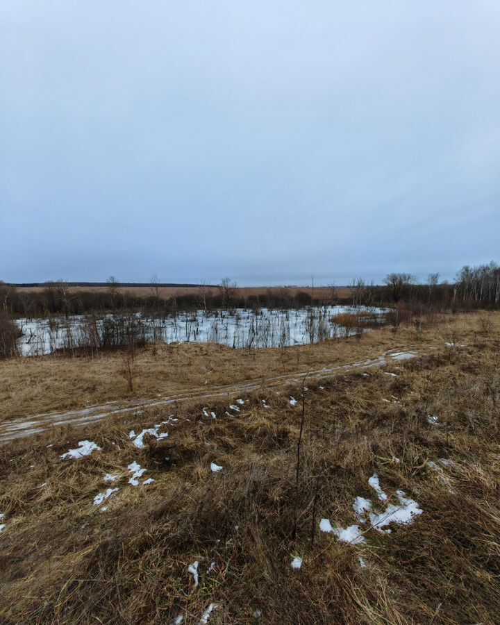 земля г Подольск д Ворыпаево 11 км, 80А, Домодедово, Варшавское шоссе фото 8