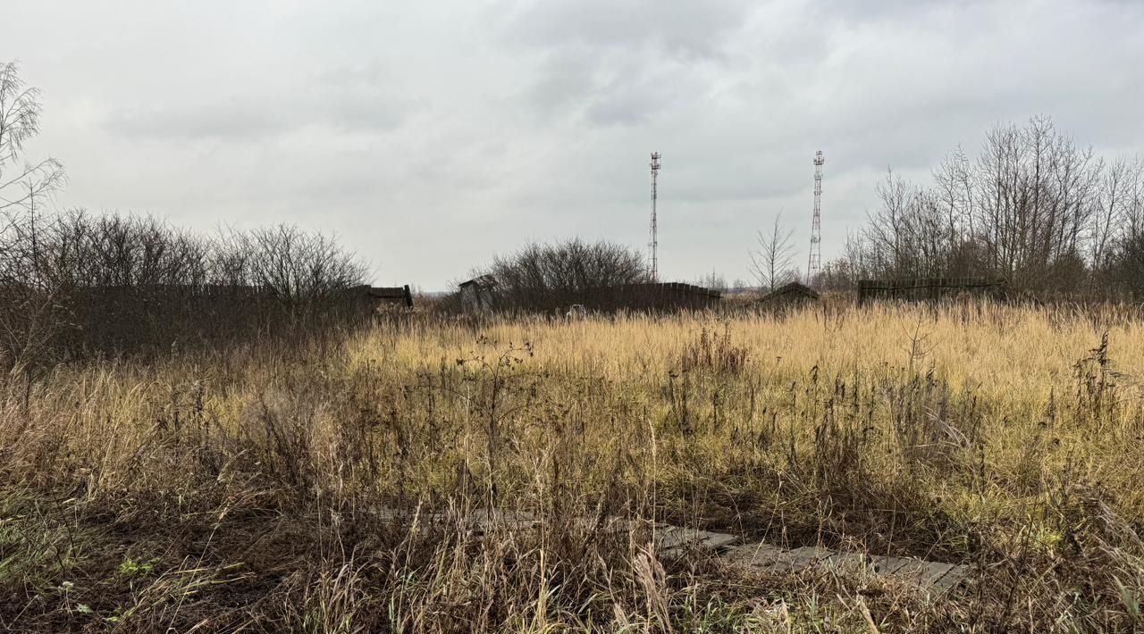 офис городской округ Богородский д Черепково фото 1