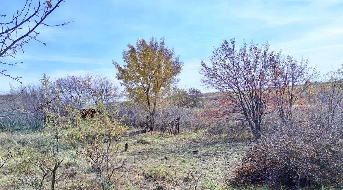 земля г Барнаул снт Горный лен фото 3