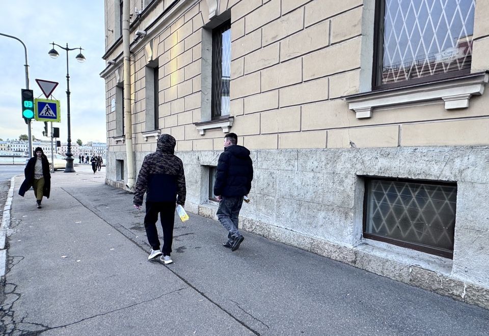 свободного назначения г Санкт-Петербург метро Василеостровская наб Лейтенанта Шмидта 11 фото 3