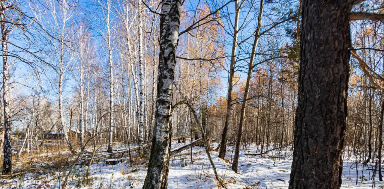 земля р-н Тюменский с Перевалово ул Сиреневая фото 9