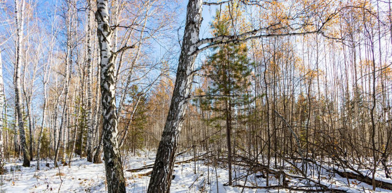 земля р-н Тюменский с Перевалово ул Сиреневая фото 12