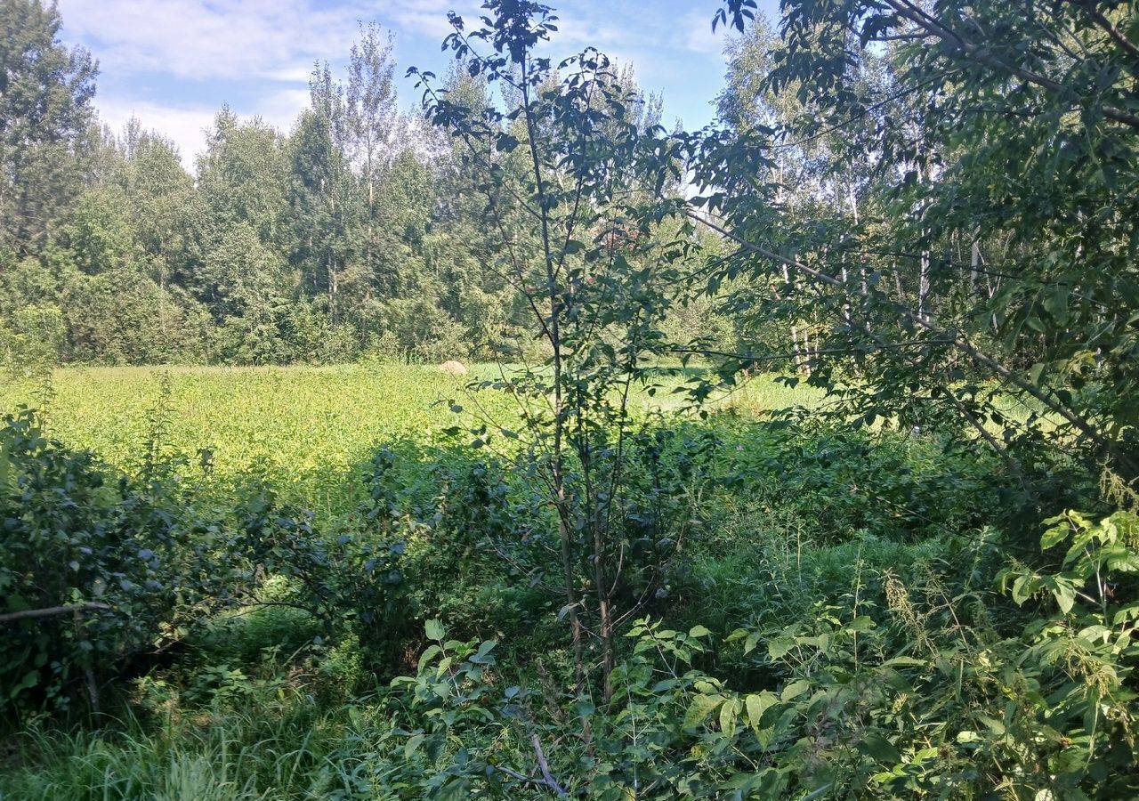 земля городской округ Шатура п Долгуша 110 км, Шатура, Егорьевское шоссе фото 2