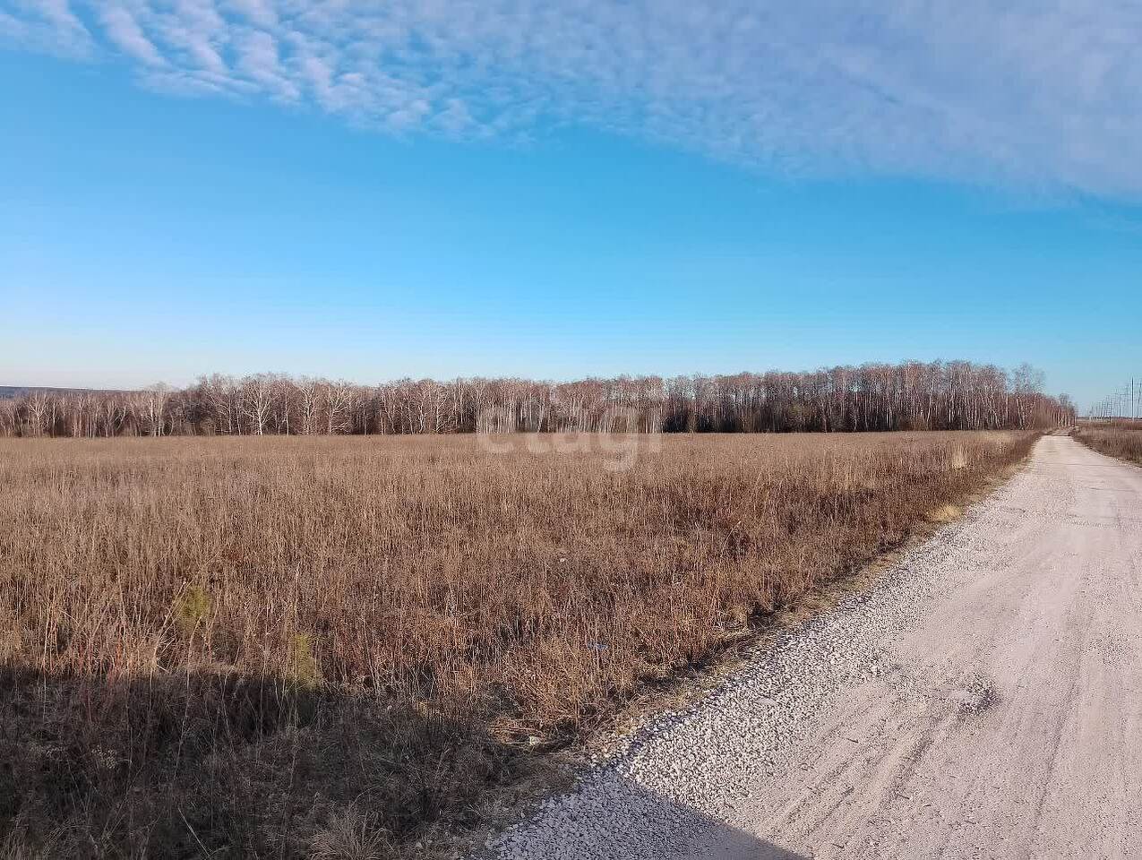 земля городской округ Серпухов д Балково фото 4