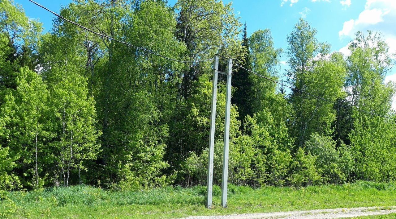 земля городской округ Можайский д Моденово тер Стародачная Поляна-2 фото 3