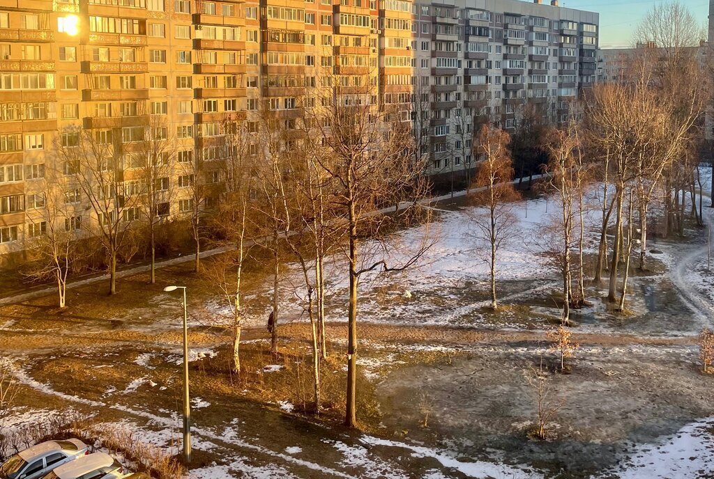 квартира г Санкт-Петербург метро Улица Дыбенко р-н Невский ул Подвойского 13к/2 фото 3