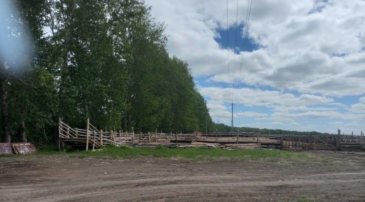 земля р-н Новосибирский с Верх-Тула пер. Сельский фото 2