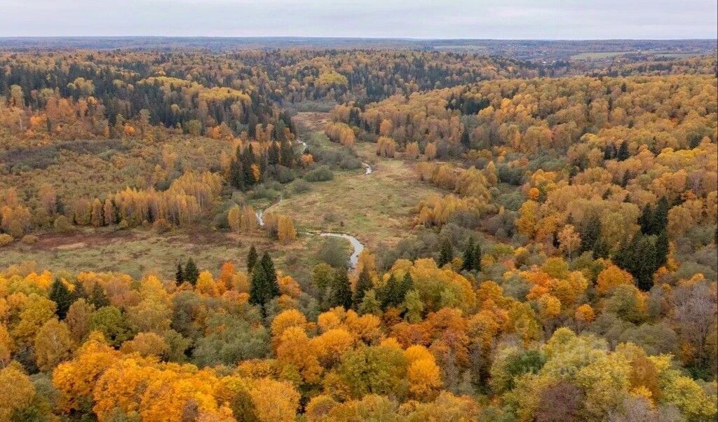 земля городской округ Дмитровский д Гаврилково 72 фото 1