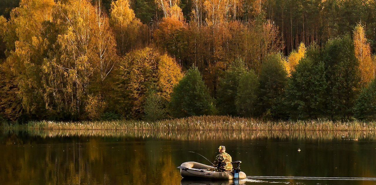 земля городской округ Ступино с Разиньково ул Лесная фото 6