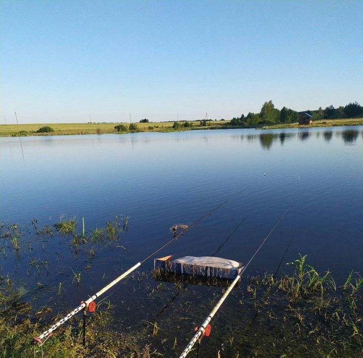 земля городской округ Ступино с Семёновское ул Больничная фото 8