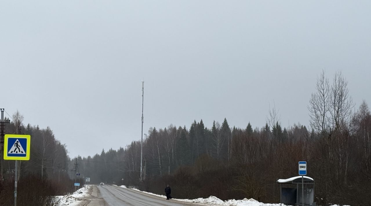 земля городской округ Наро-Фоминский с Каменское снт Солнышко 22 фото 18