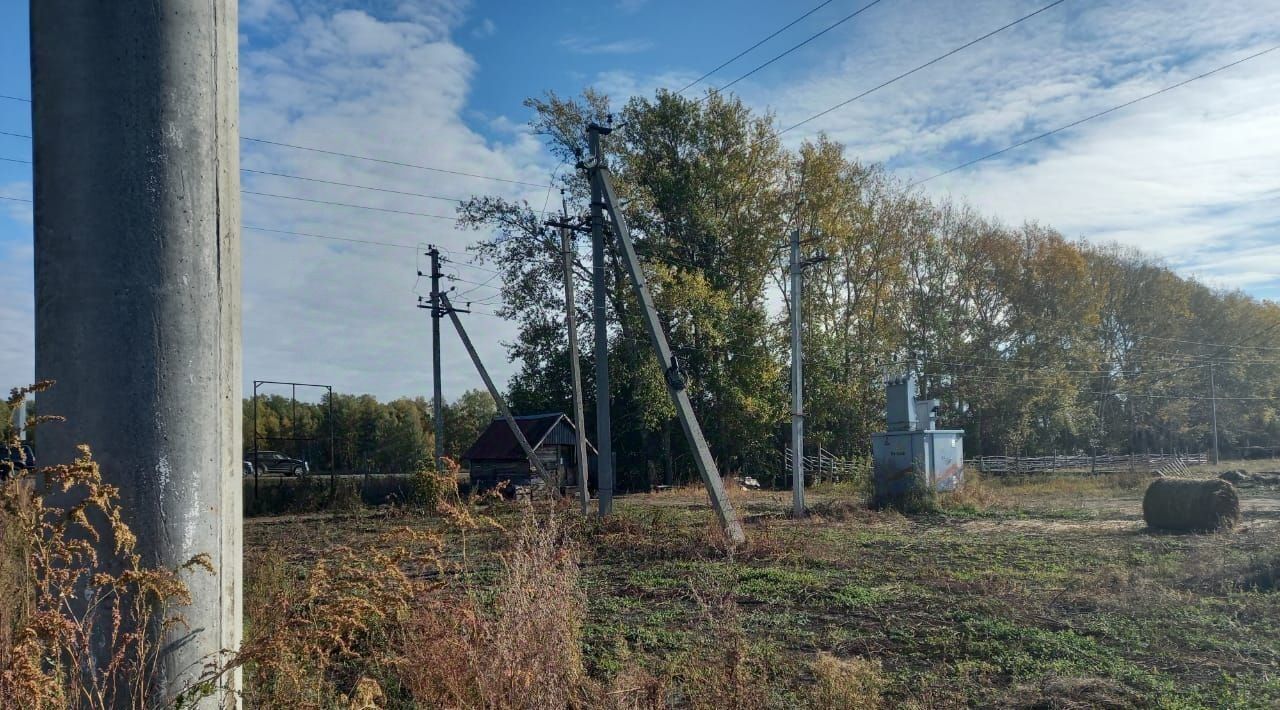 земля р-н Новосибирский с Верх-Тула пер. Сельский фото 7