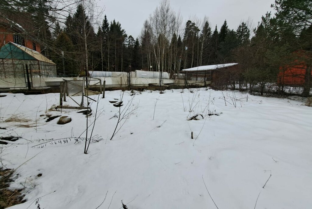 дом городской округ Пушкинский п Зеленоградский снт Связист фото 5