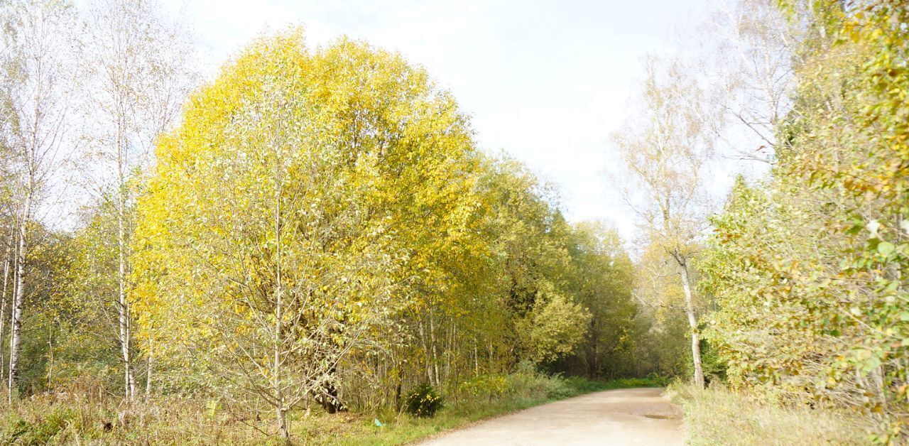 земля городской округ Дмитровский д Сычевки фото 6