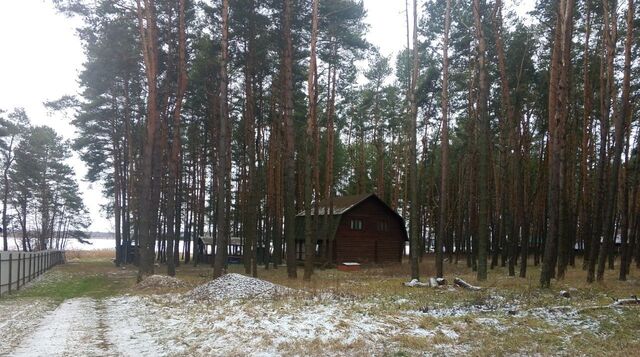 р-н Железногорский д Копенки Городновский сельсовет фото