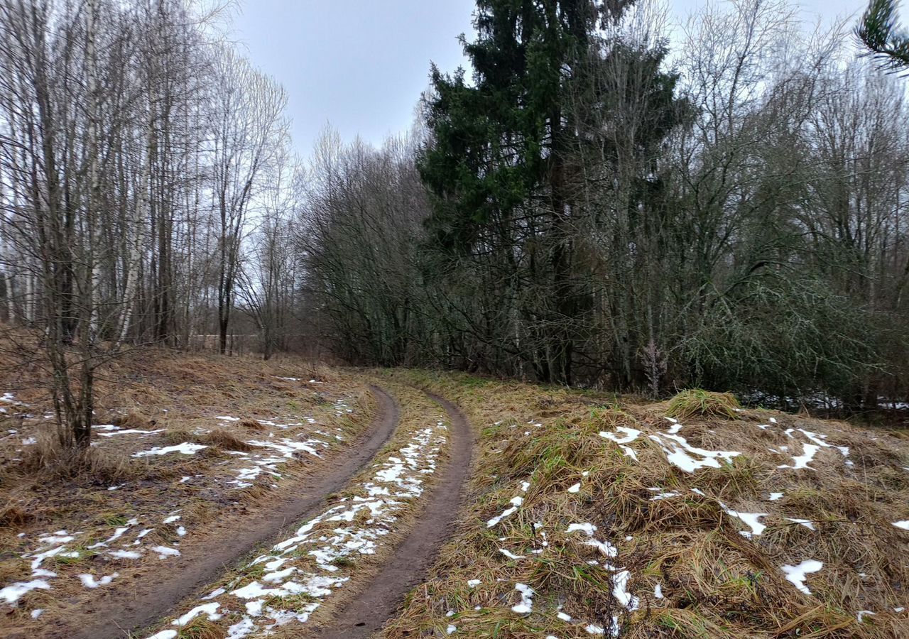 земля р-н Пушкиногорский д Гайки городское поселение Пушкиногорье, Пушкинские Горы фото 18