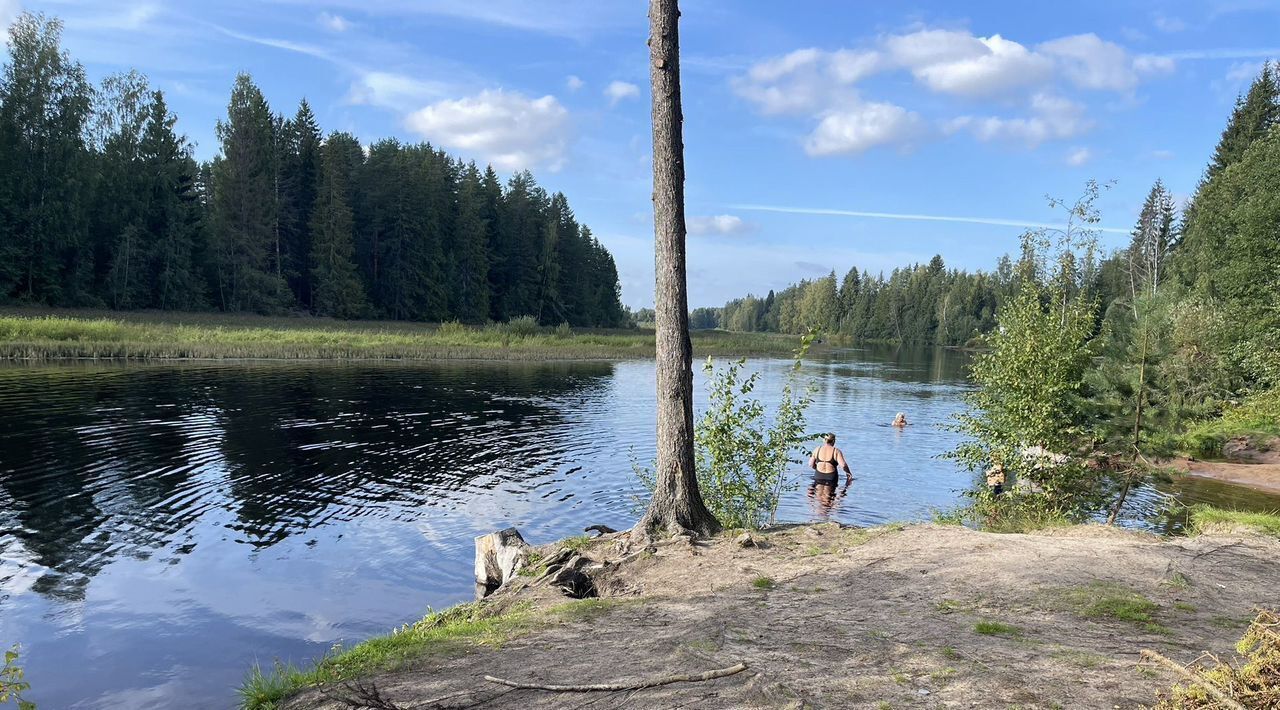 земля р-н Гатчинский Вырица городской поселок, ул. Таллинская фото 2