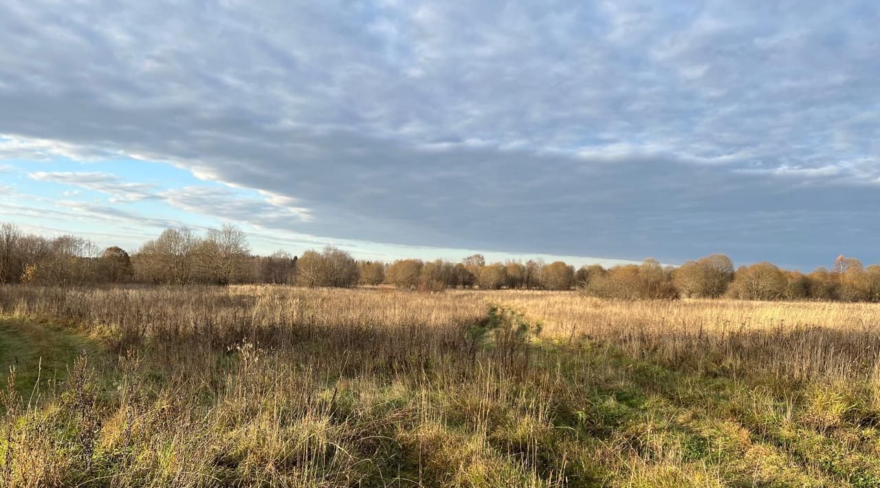 офис р-н Переславский д Лисавы Переславль-Залесский городской округ фото 9