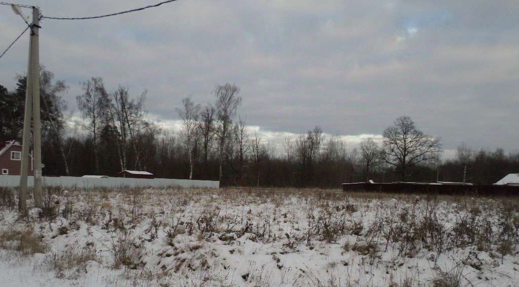 земля р-н Жуковский с. Совхоз Чаусово, ул. Восточная, 6 фото 1