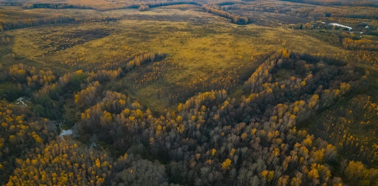 офис р-н Заокский д Петрищево фото 5