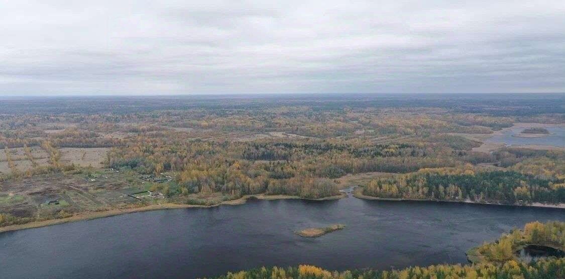 земля р-н Выборгский п Барышево Гончаровское с/пос фото 8