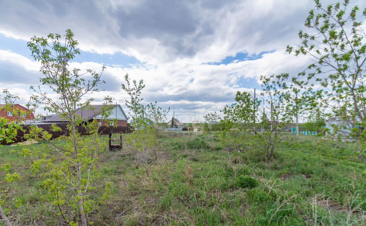 земля г Омск р-н Советский ул Новоалександровская 255 Советский АО фото 8