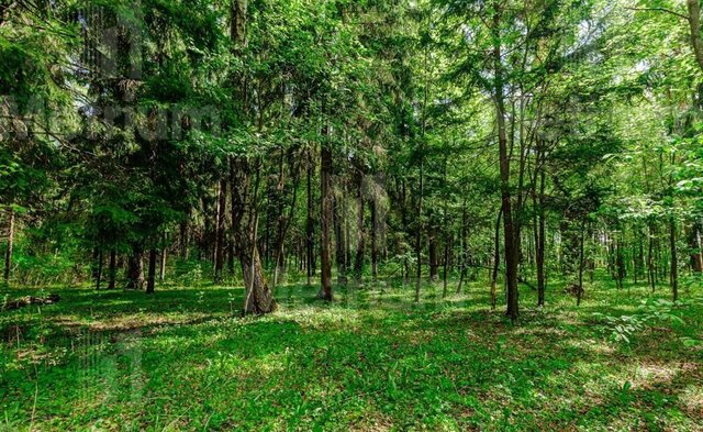 ш Рублево-Успенское 9 км, А-106, подъезды к Госдачам, Барвиха фото