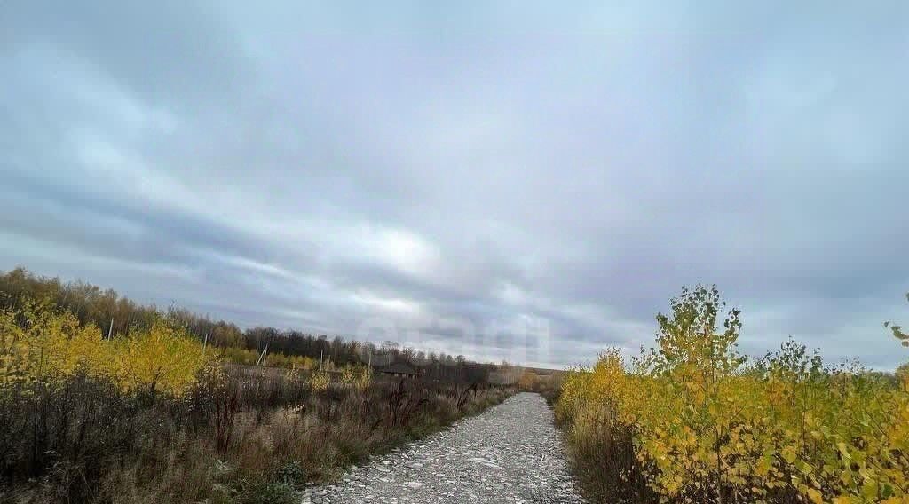 земля р-н Пестречинский с Новое Шигалеево ул Кузьминых Шигалеевское с/пос фото 1