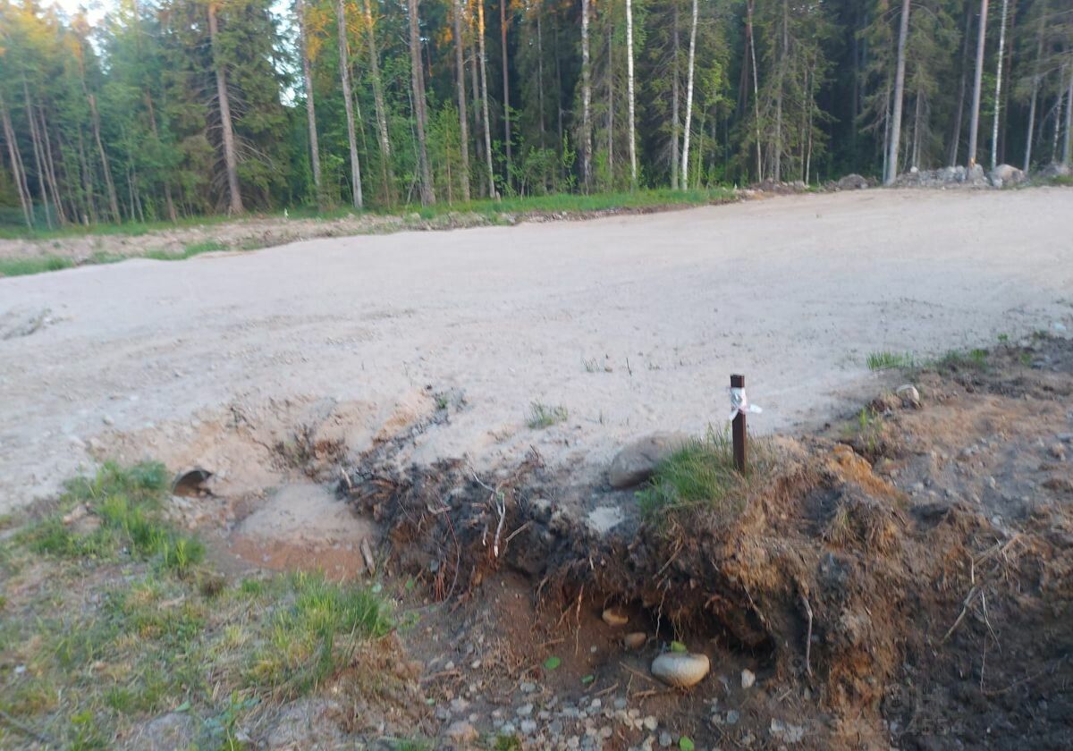 земля р-н Приозерский г Приозерск Трасса Сортавала, 95 км, Ларионовское сельское поселение, линия, Средняя, СНТ Сосновый фото 2