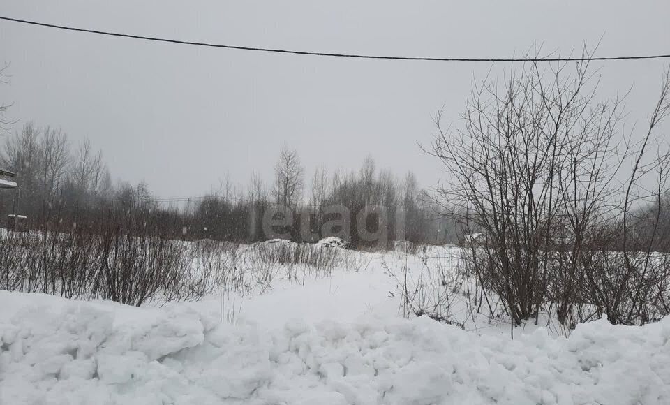 земля р-н Коношский рп Коноша ул Лесная Коношское, муниципальное образование фото 1