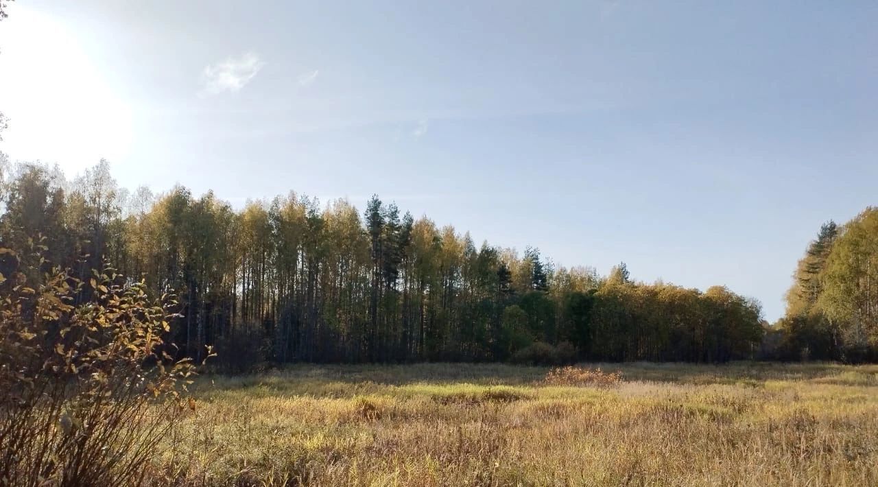 земля р-н Кондопожский г Кондопога Кондопожское городское поселение фото 9