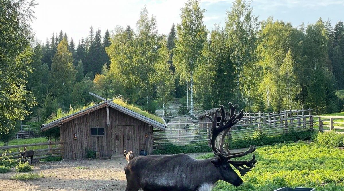 дом р-н Лахденпохский г Лахденпохья ул Лесная 15 Лахденпохское городское поселение фото 22