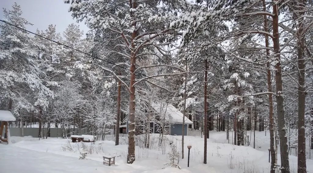 дом р-н Кондопожский с Янишполе ул Лесная 34 Янишпольское с/пос фото 20