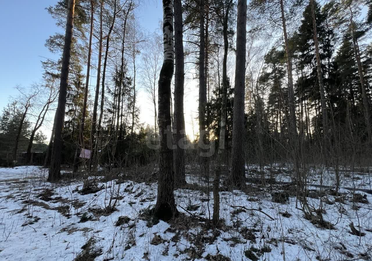 земля городской округ Раменский д Коняшино ул Лесная 21 37 км, Речицы, Егорьевское шоссе фото 7