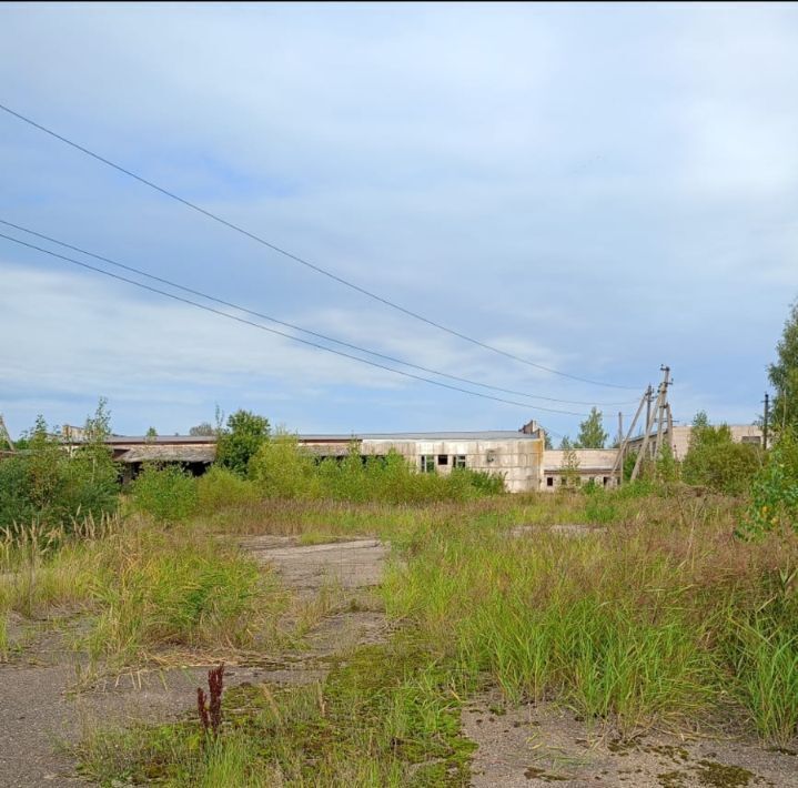 производственные, складские р-н Бежаницкий п Бежаницы ул Смольная городское поселение Бежаницы фото 3