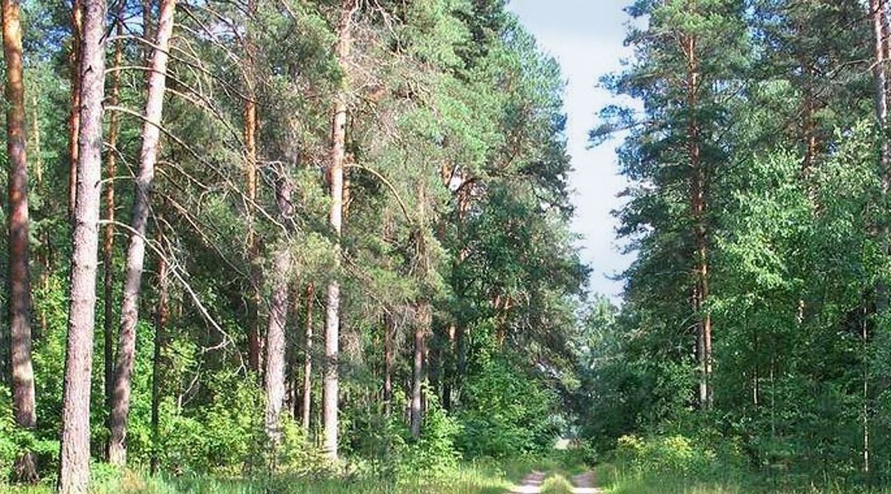 земля р-н Темкинский Медведевское с/пос, Территория Шелуково урочище фото 3