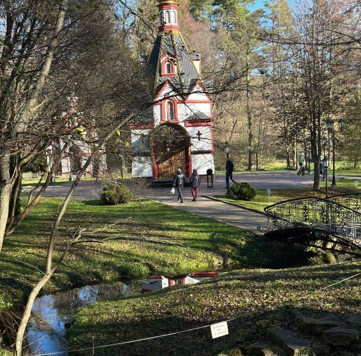 земля городской округ Чехов д Васькино Васькино парк кп, 271 фото 1