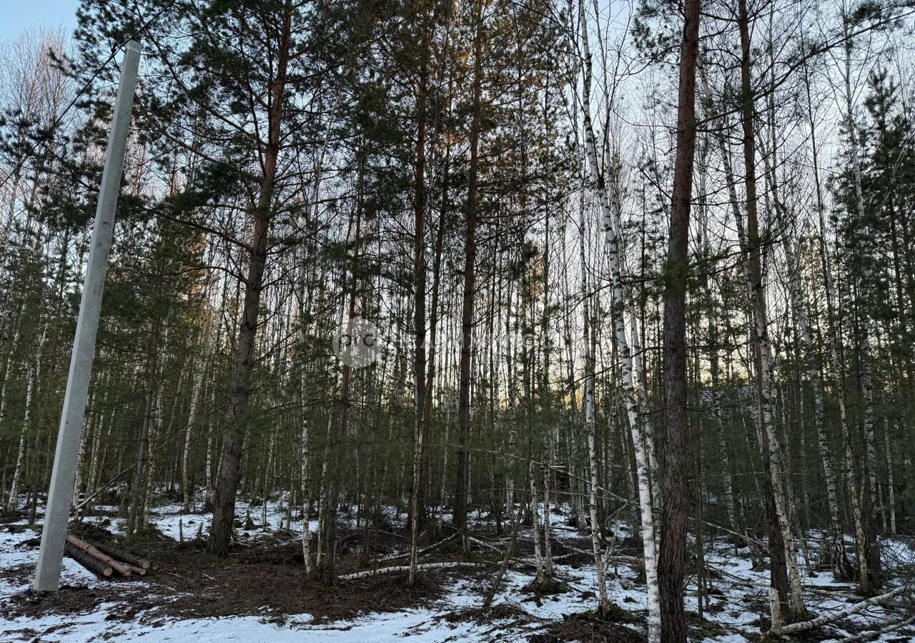 земля р-н Рязанский Заборьевское сельское поселение, садоводческое товарищество Заборье, Рязань фото 8