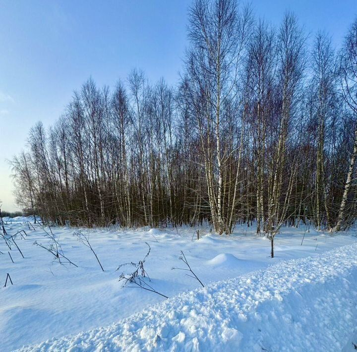 земля городской округ Рузский п Старотеряево фото 3