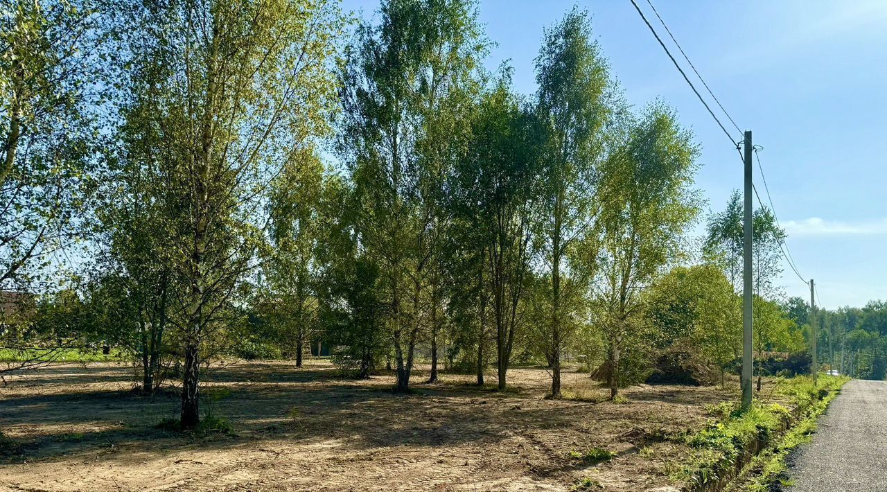 земля городской округ Рузский п Старотеряево ул Дачная фото 3