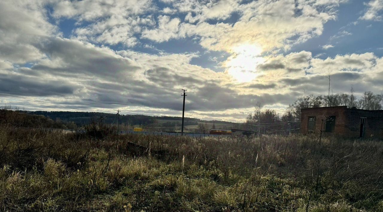 офис городской округ Рузский п Старотеряево фото 8