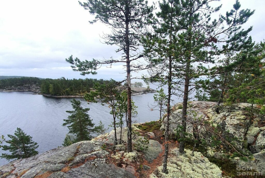 дом р-н Лахденпохский г Лахденпохья ул Лесная 15 Лахденпохское городское поселение фото 26