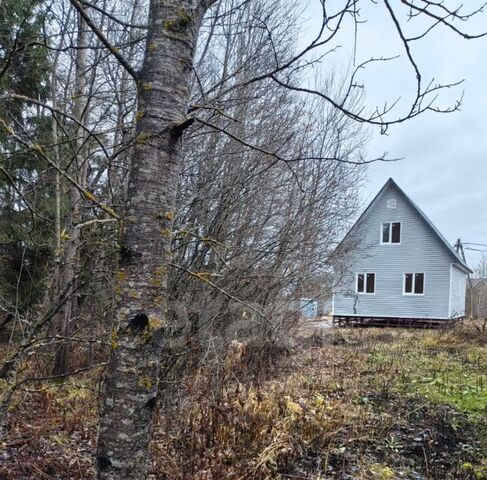 направление Ленинградское (северо-запад) ш Пятницкое 1, Химки городской округ, д. Брехово фото