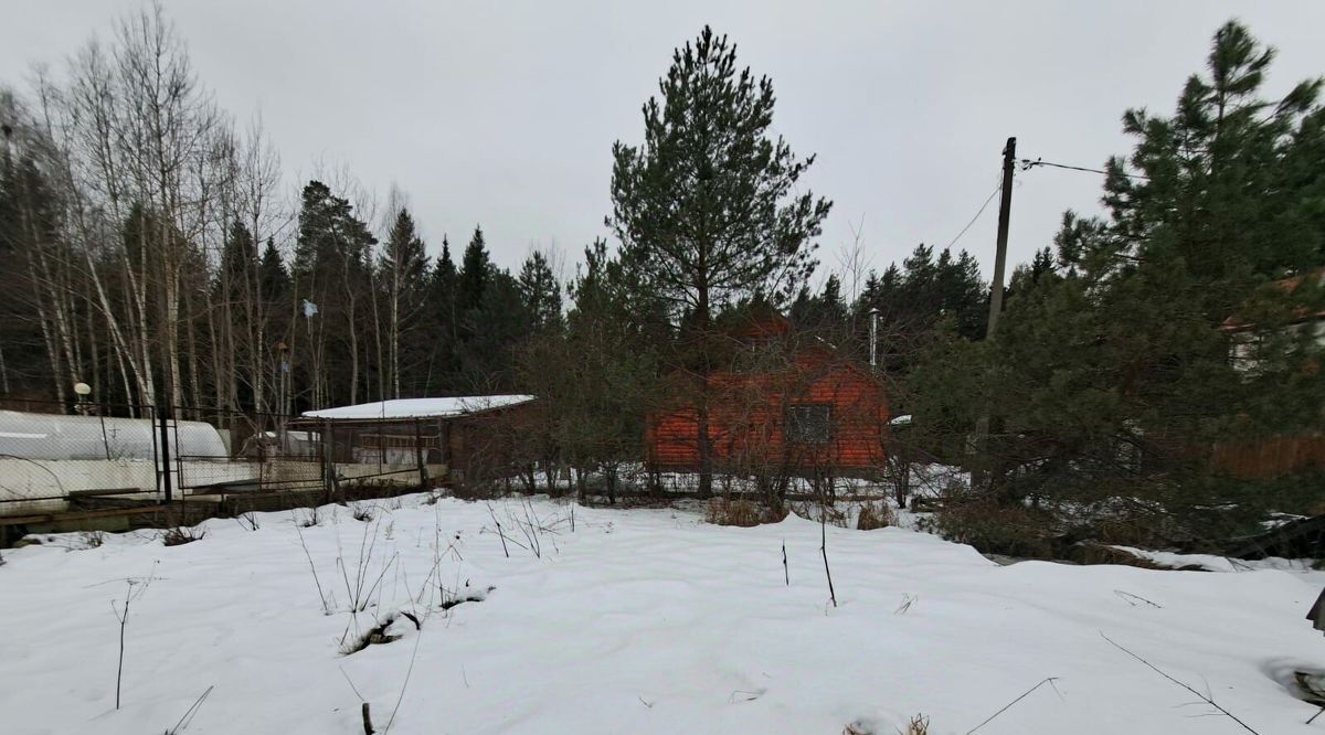 дом городской округ Пушкинский п Зеленоградский снт Связист фото 2