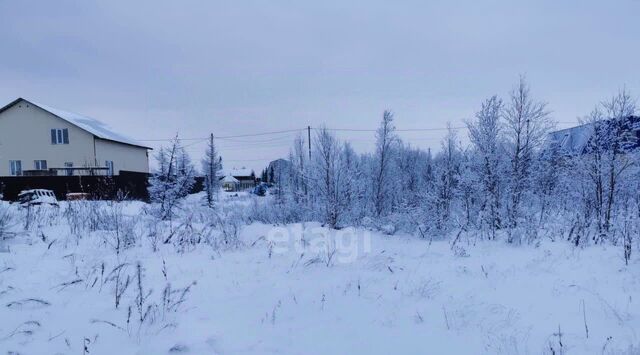 Север ДНТ, ул. Грибная фото