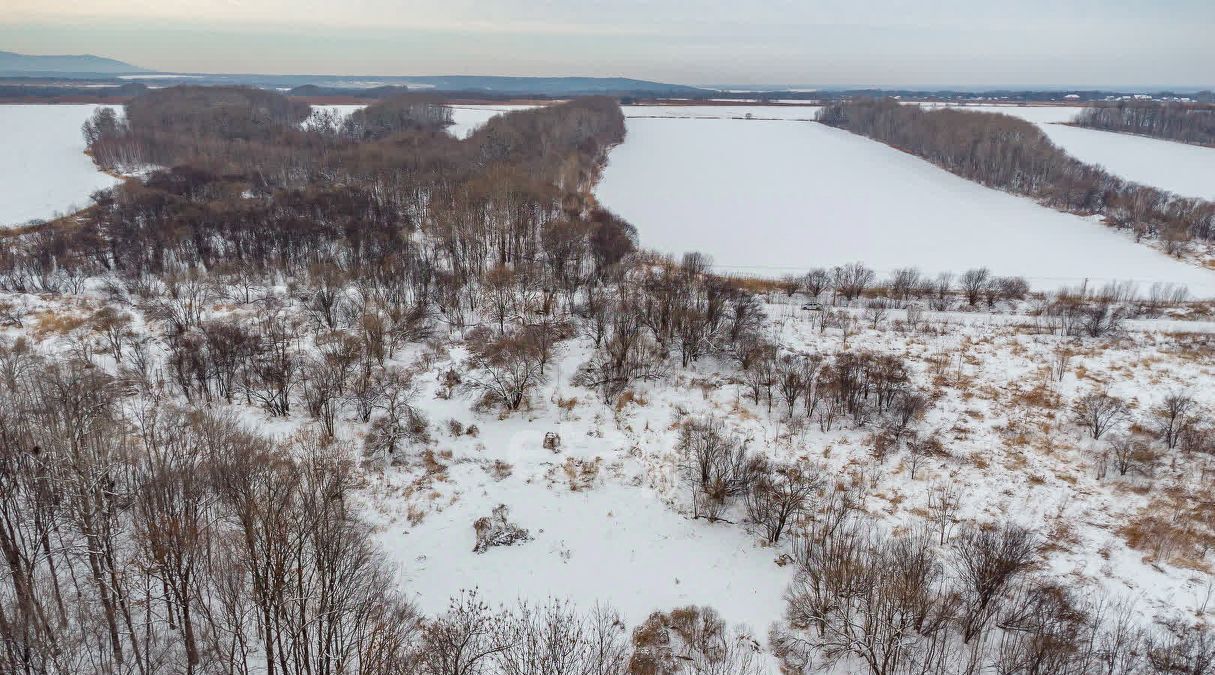 земля р-н Хабаровский с Краснореченское Чистое Озеро кв-л фото 3