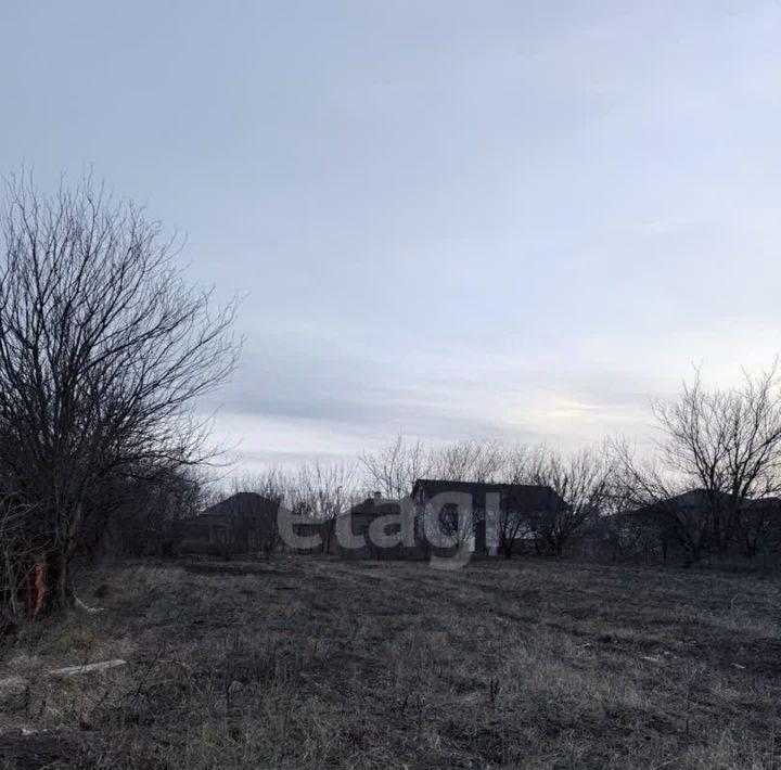 земля р-н Белгородский п Дубовое ул Гранатовая Дубовское с/пос фото 9