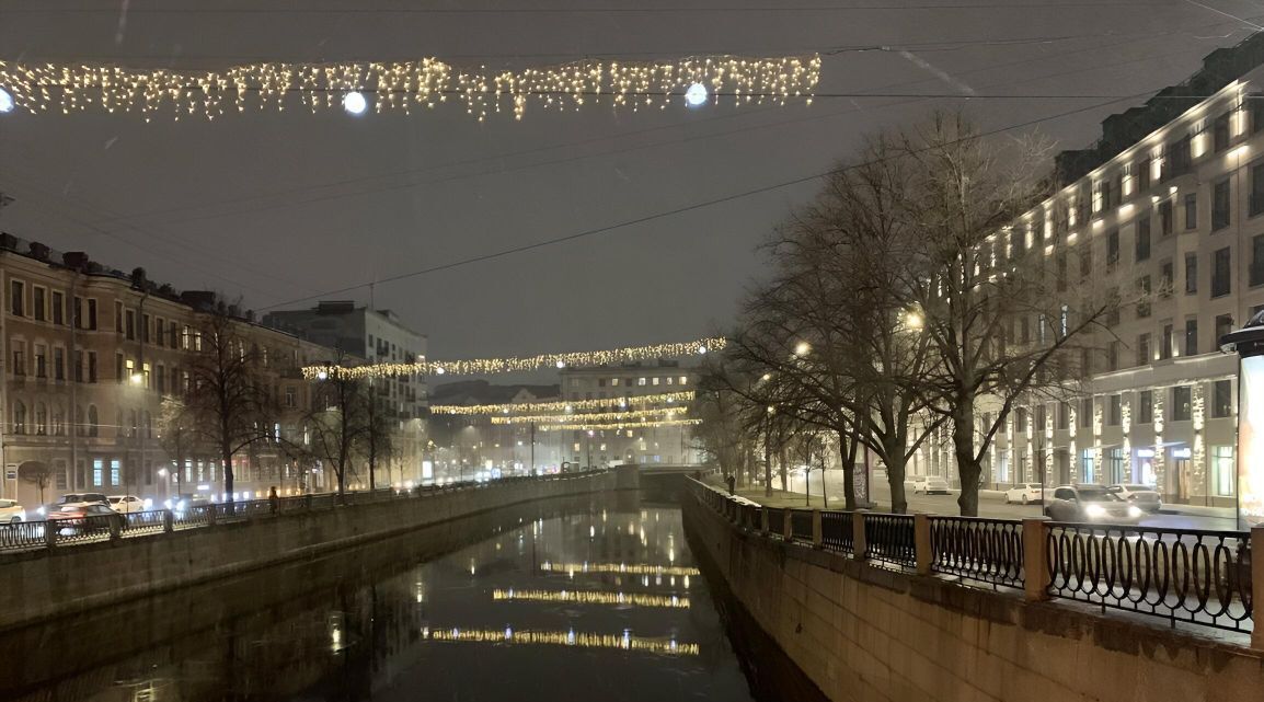 квартира г Санкт-Петербург метро Петроградская пер Вяземский 4 фото 19