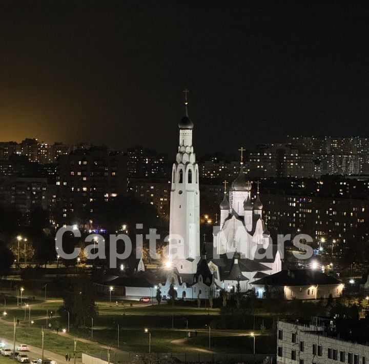 квартира г Санкт-Петербург метро Проспект Большевиков р-н Невский пр-кт Дальневосточный 19к/1 фото 5